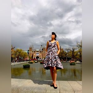 White House Black market dress （final sale no return)